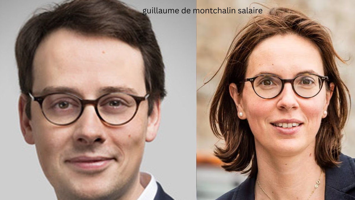 Guillaume de Montchalin salaire : analyse complète, évolution et réalité des revenus politiques