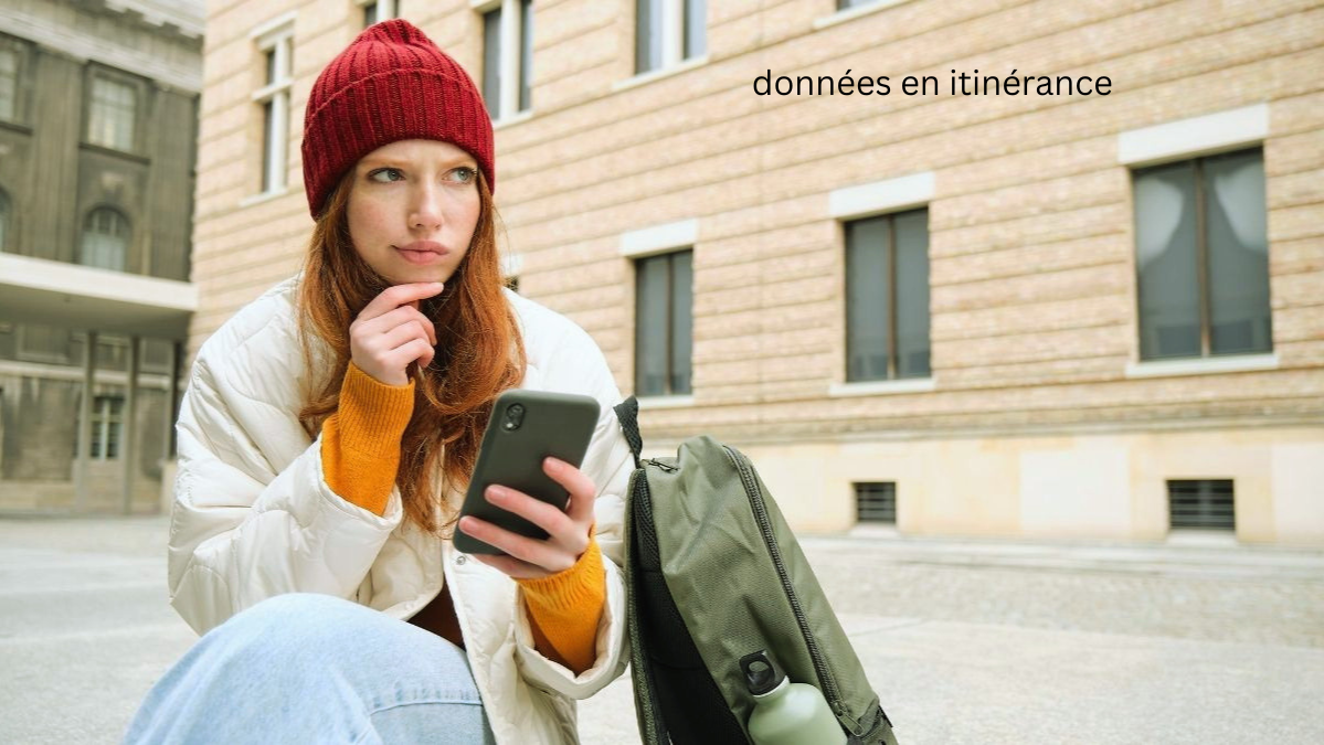 Données en itinérance