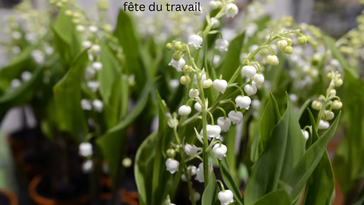 fête du travail